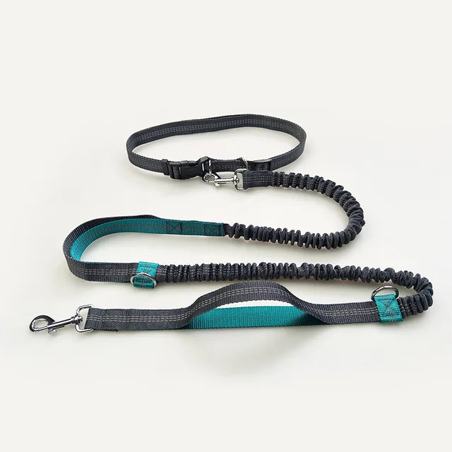 Runner's Dog Leash