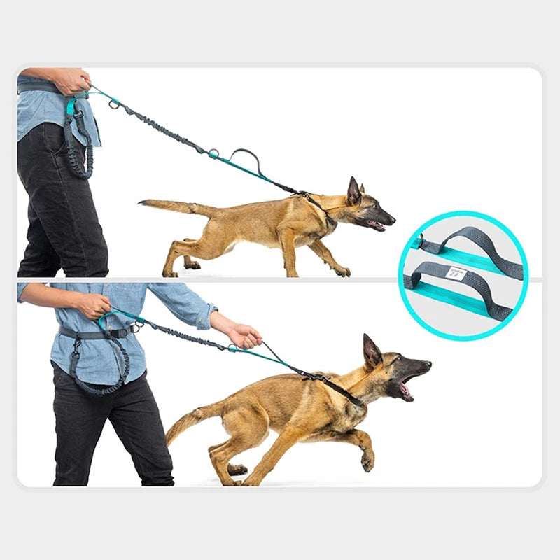 Runner's Dog Leash